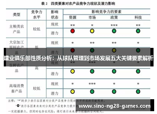 建业俱乐部性质分析:从球队管理到市场发展五大关键要素解析 建业俱乐部性质分析:从球队管理到市场发展五大关键要素解析